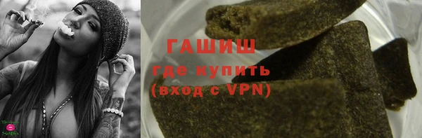СК Алексин